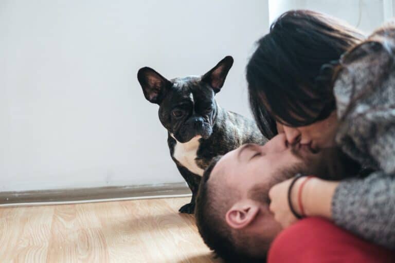 Dog watching man and woman kissing